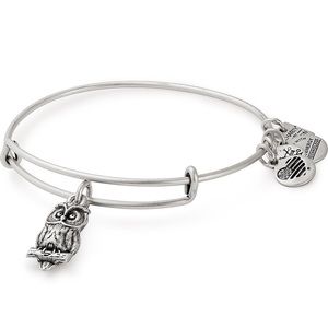 Alex and ani wisdom owl bracelet